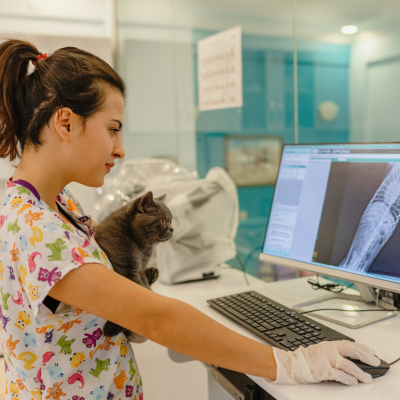 vet holding a cat looking at x-rays